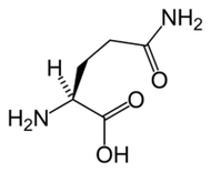 L-glutamina em Keto Diet